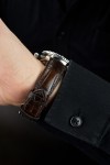 Alligator Padded Watch Strap