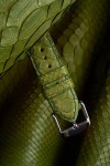 Python Padded watch strap